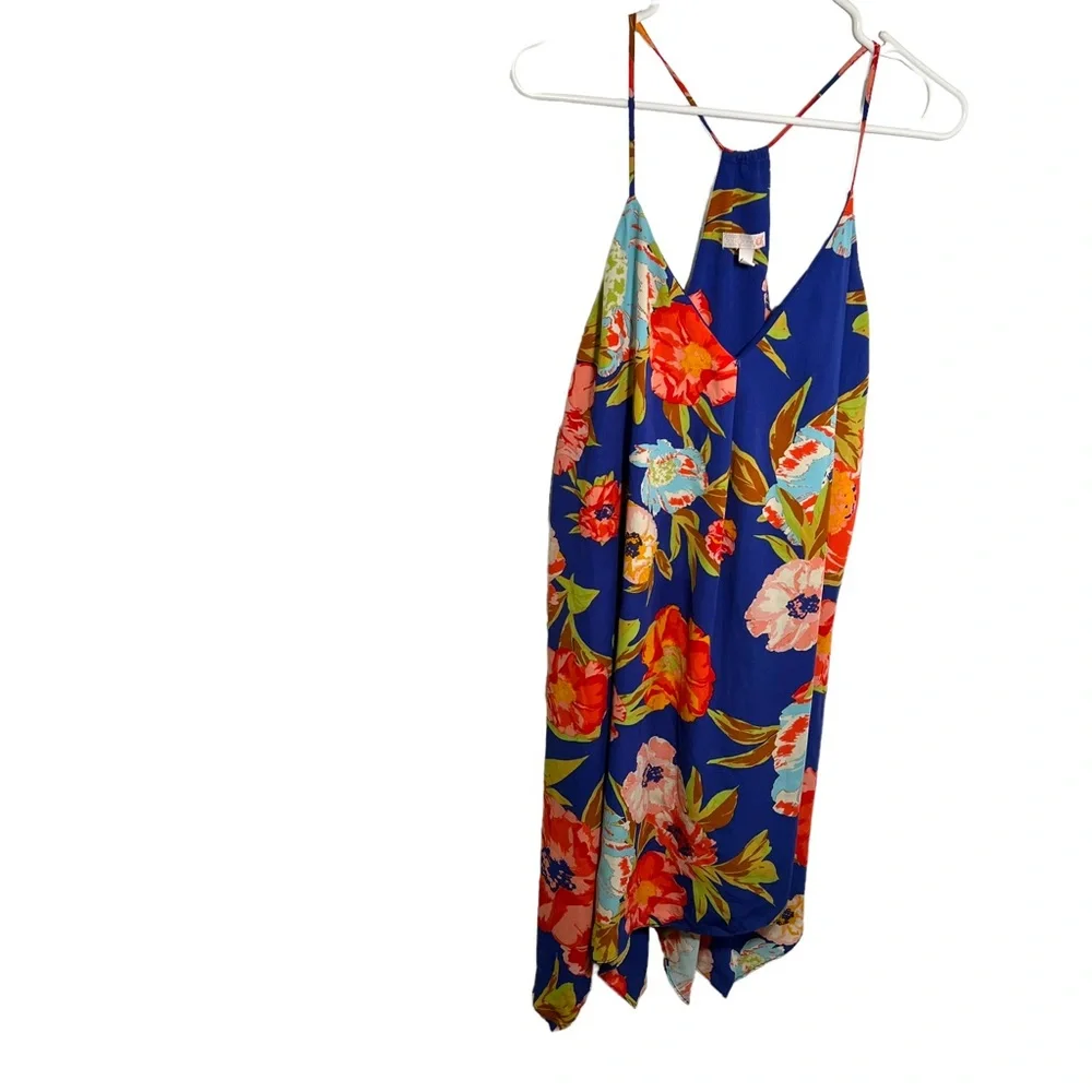 GB Sleeveless Swing Dress Blue Floral